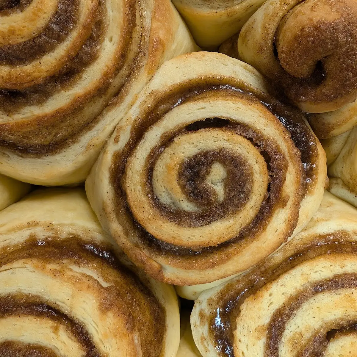 Cinnamon Roll