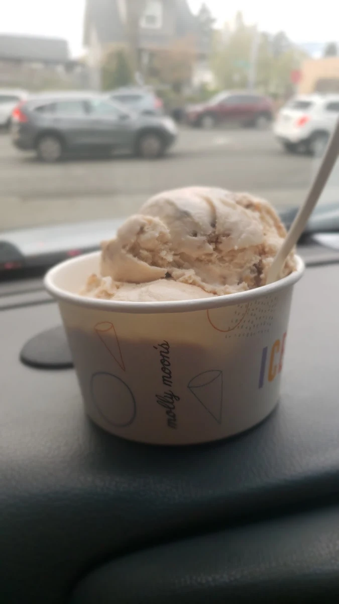 Chocolate Chip Cookie Dough