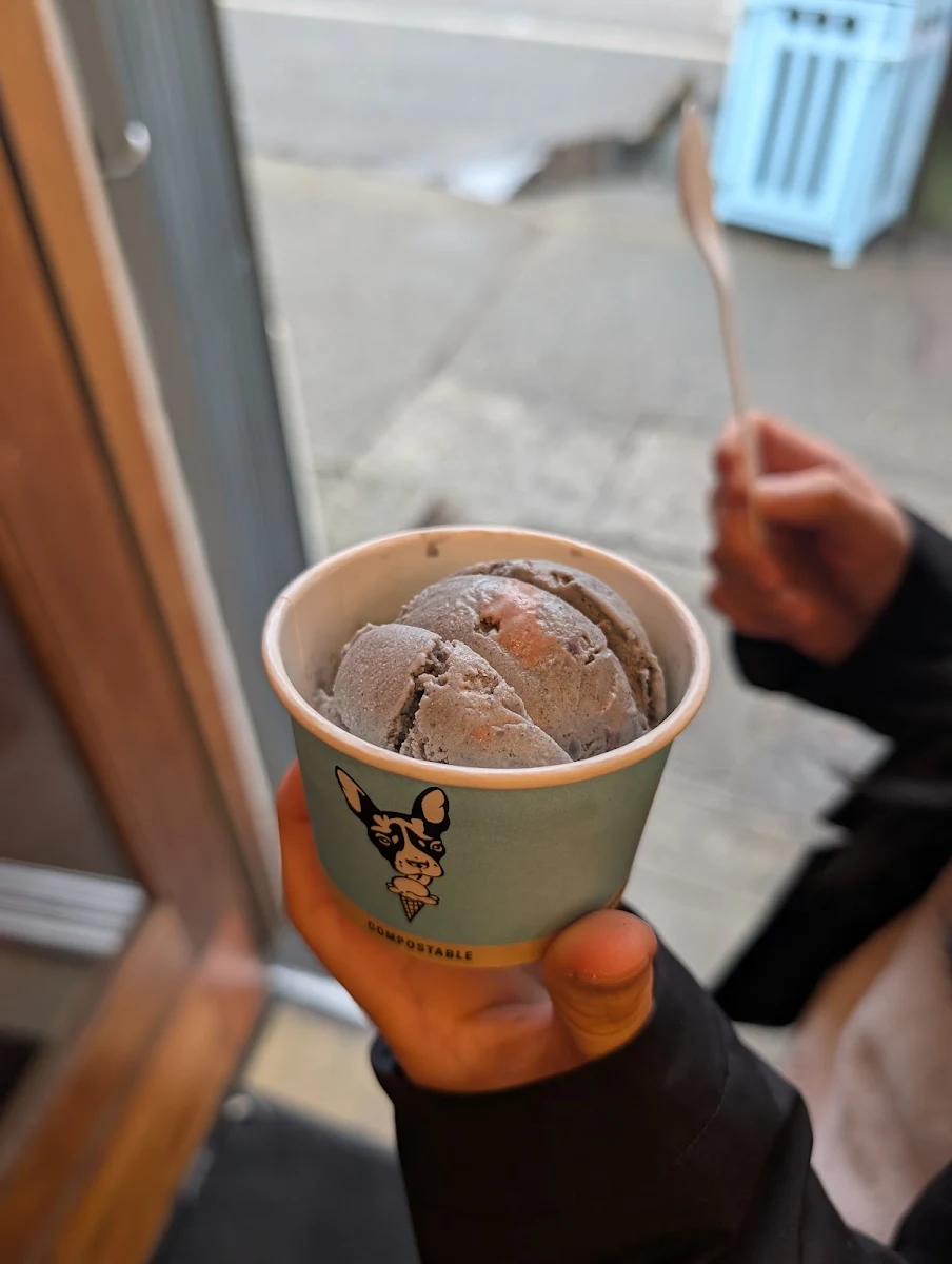 Chocolate Ice Cream