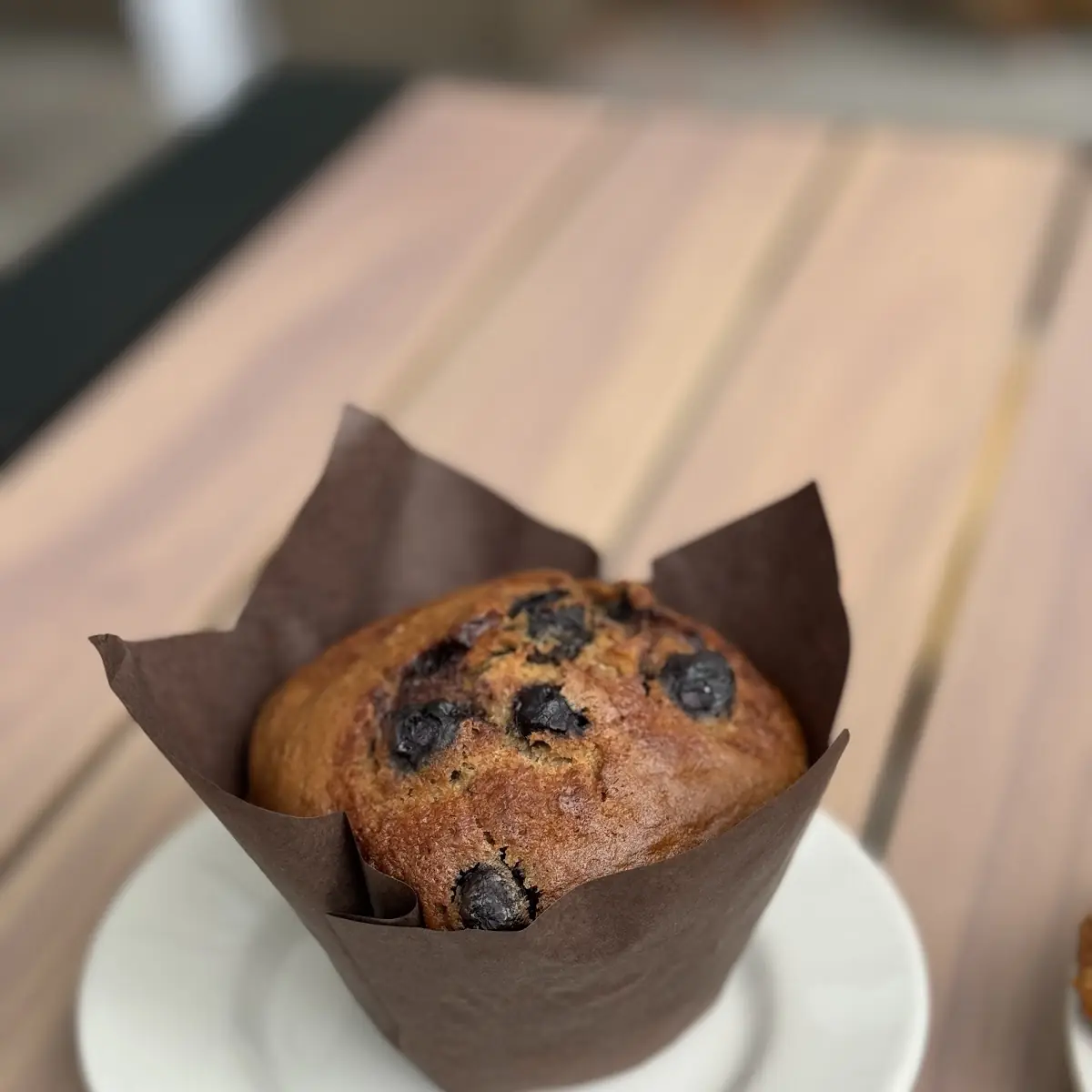Blueberry Muffin