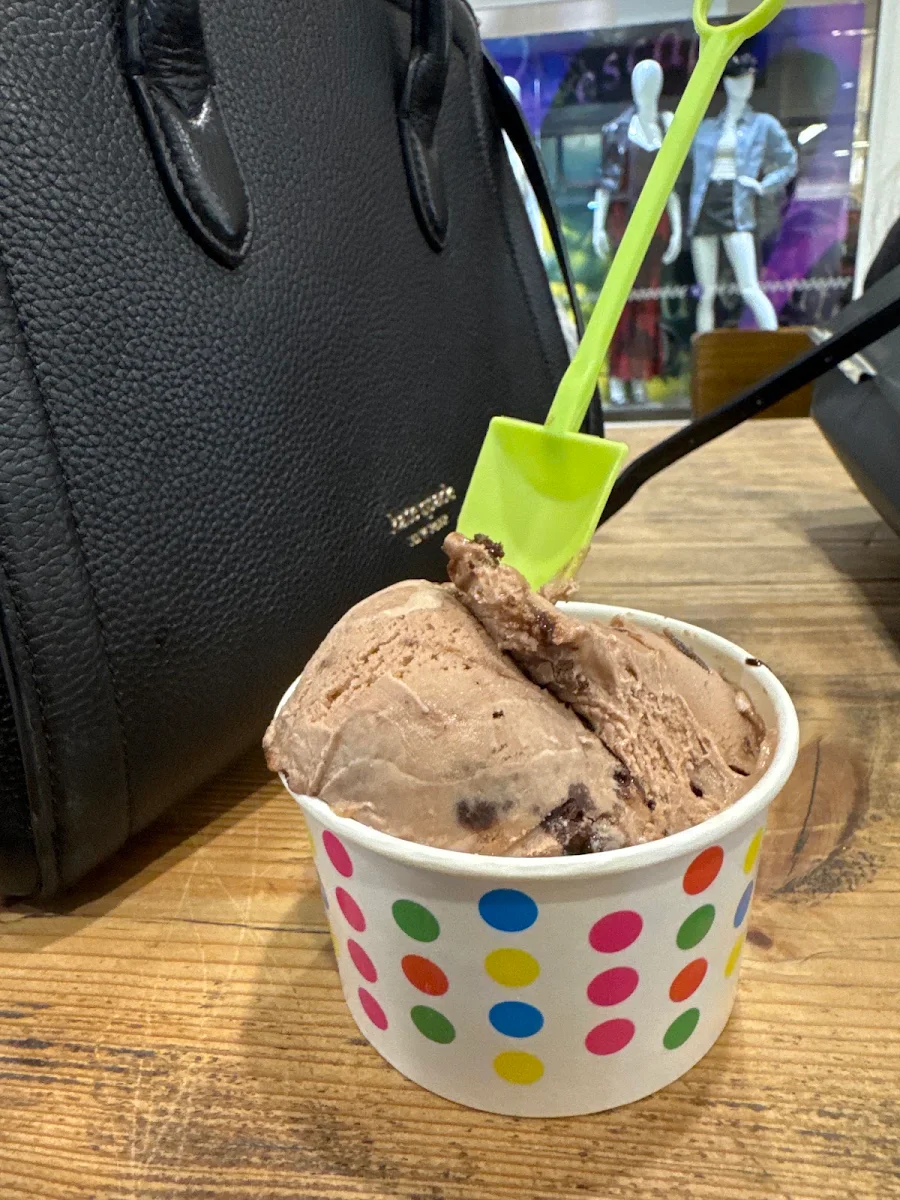 Chocolate Ice Cream