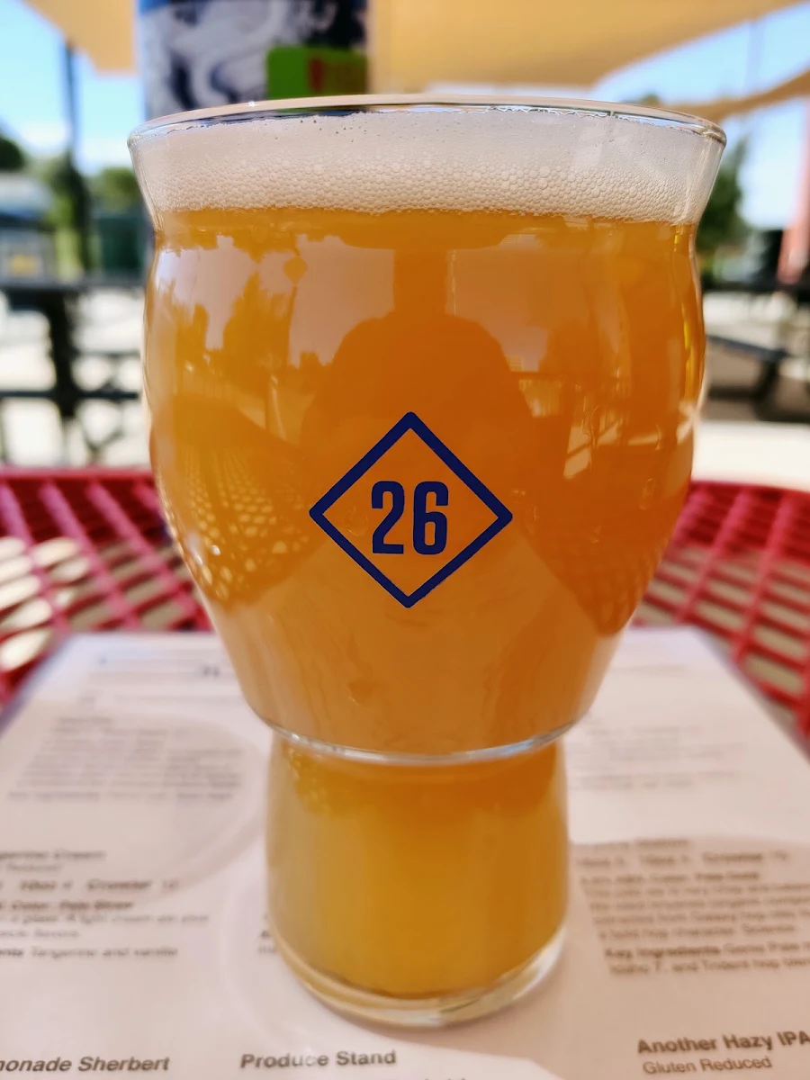Hazy Pale Ale