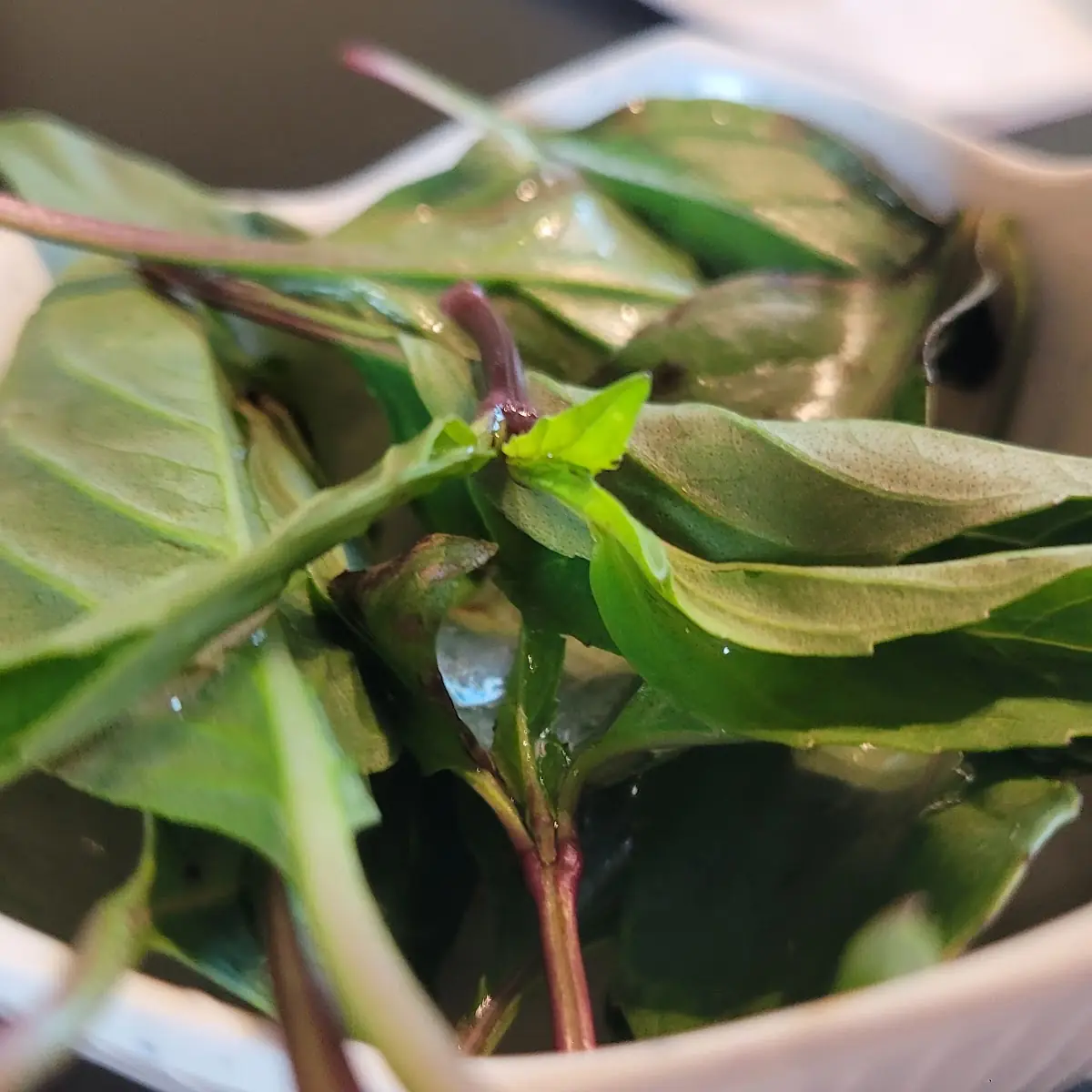 Thai Basil