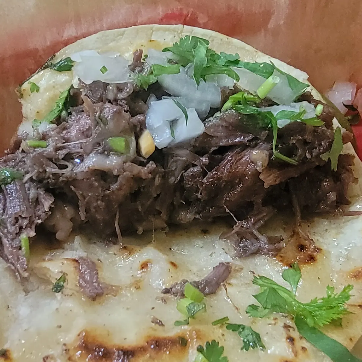 Barbacoa Taco