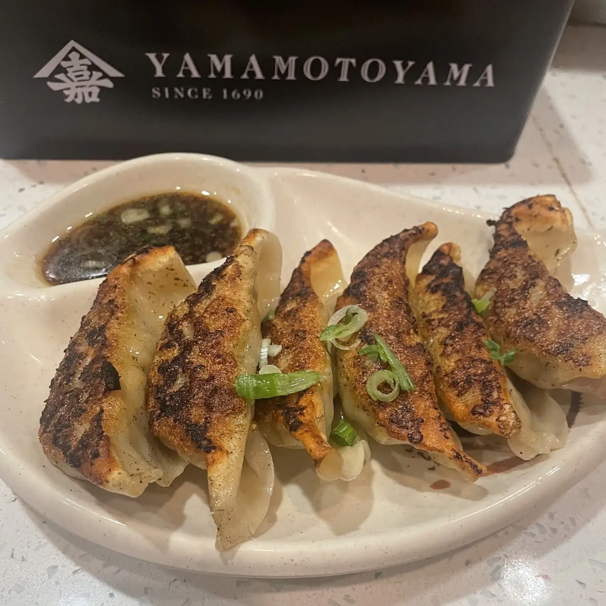 Gyoza Dumpling 6ps
