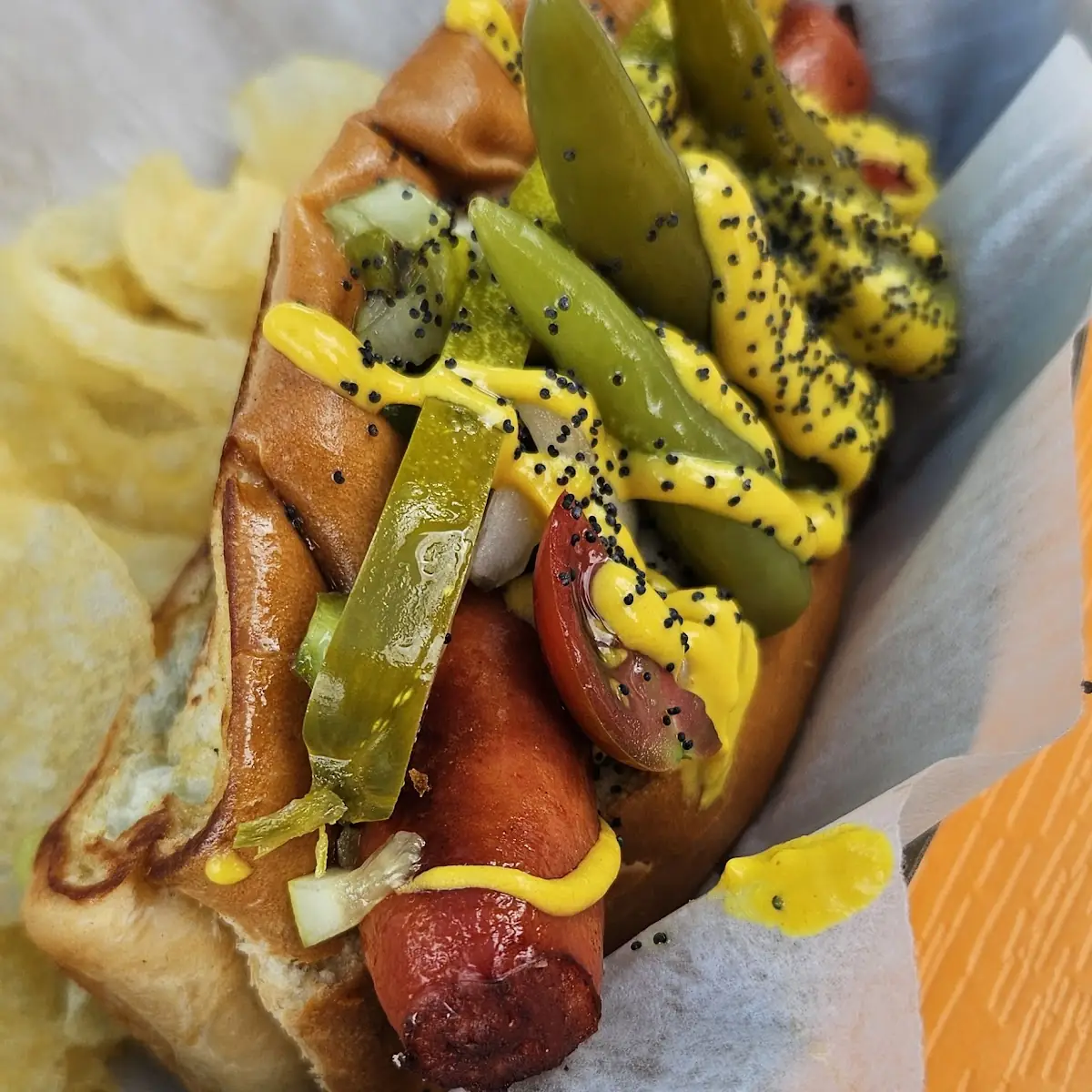 Chicago Dog