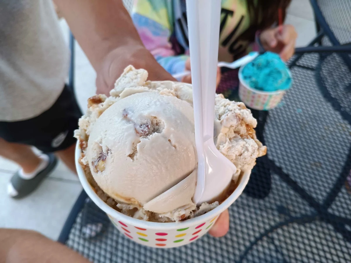 Chocolate Ice Cream