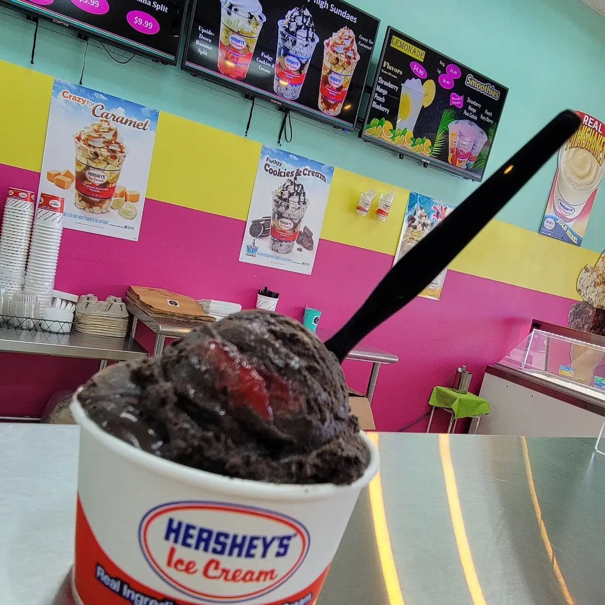 Hershey's Dark Chocolate Raspberry Truffle