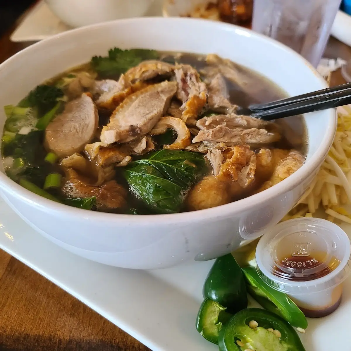 Duck Noodle Soup