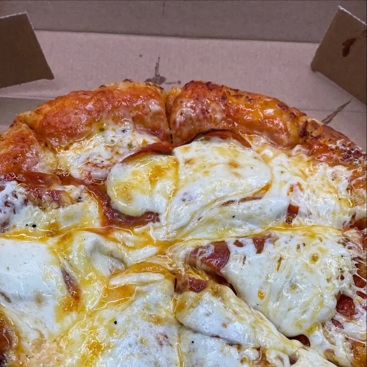 Mozzarella Cheese Pizza Must