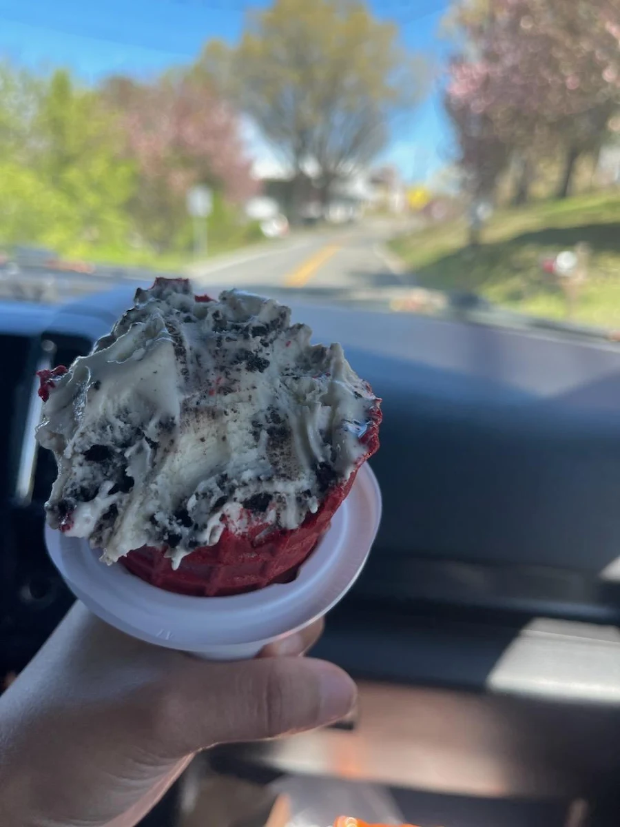 Cookies & Cream Rasberry Cone