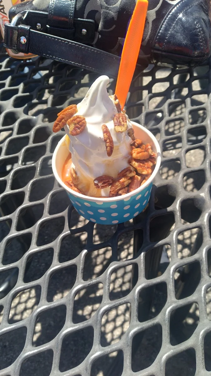 Vanilla Ice Cream with Carmel