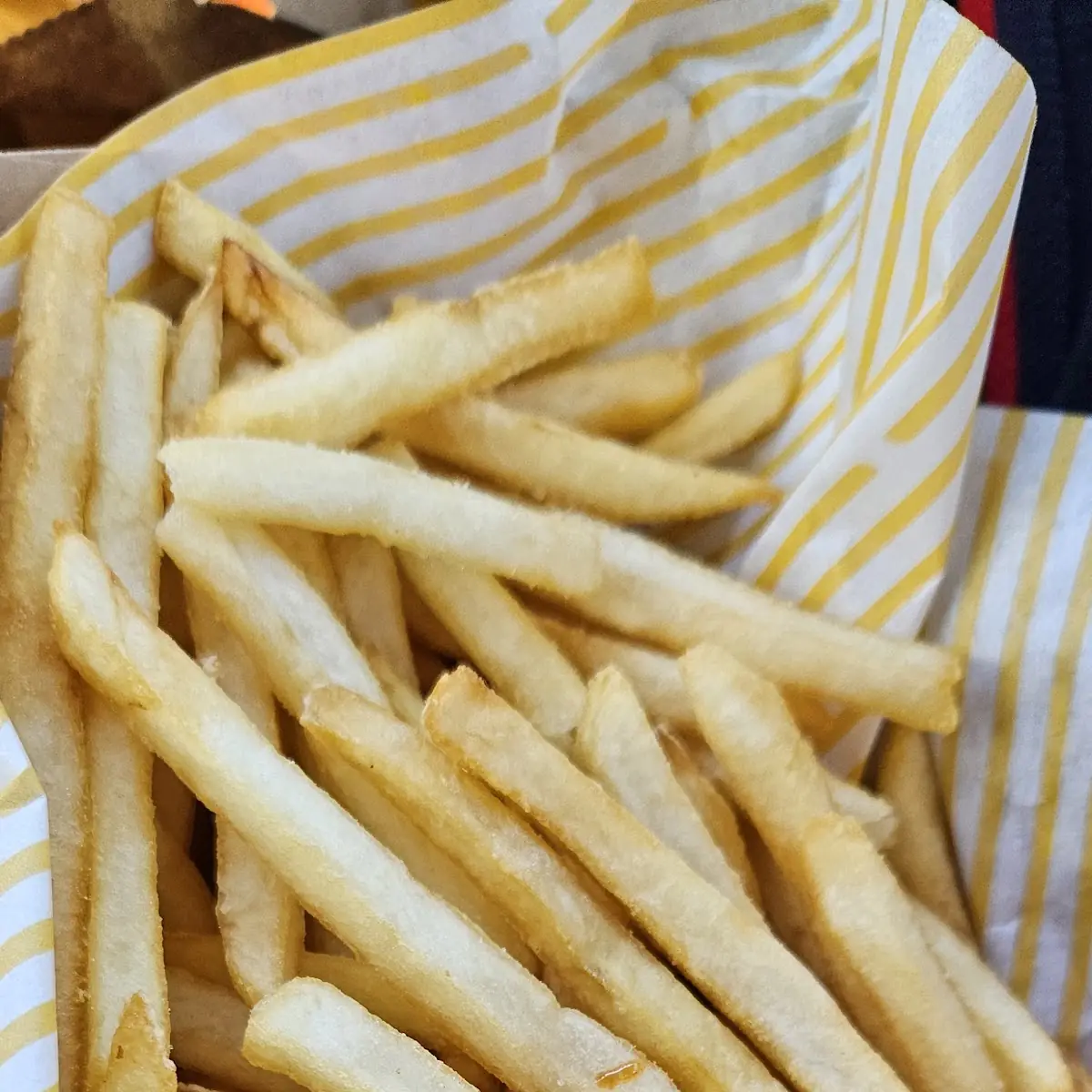 World Famous Fries