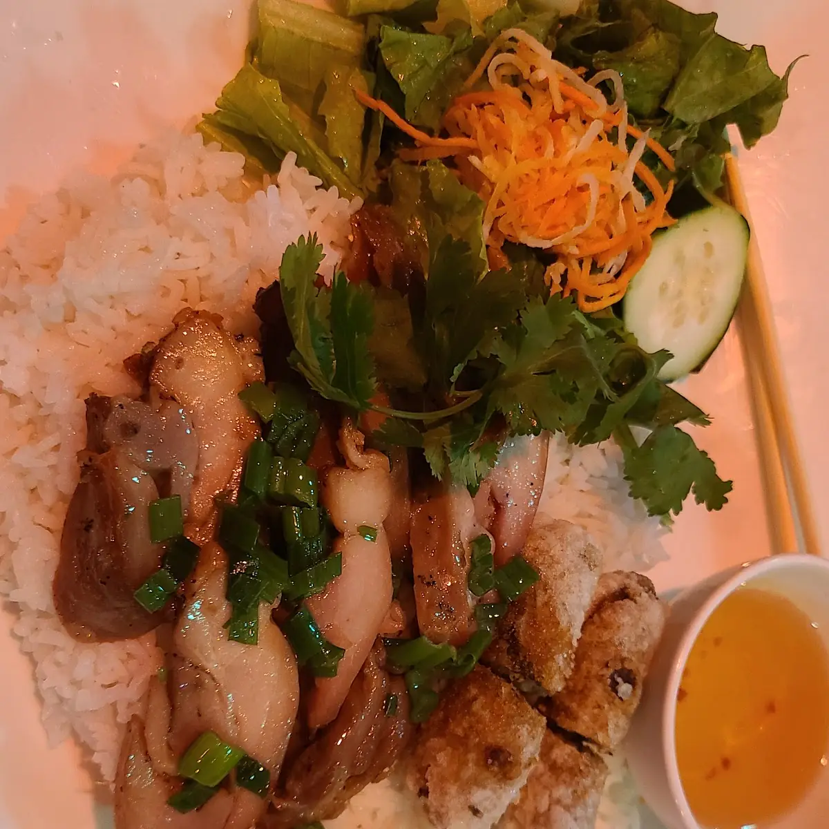 Rice with Sautéed Lemongrass Chicken Plates
