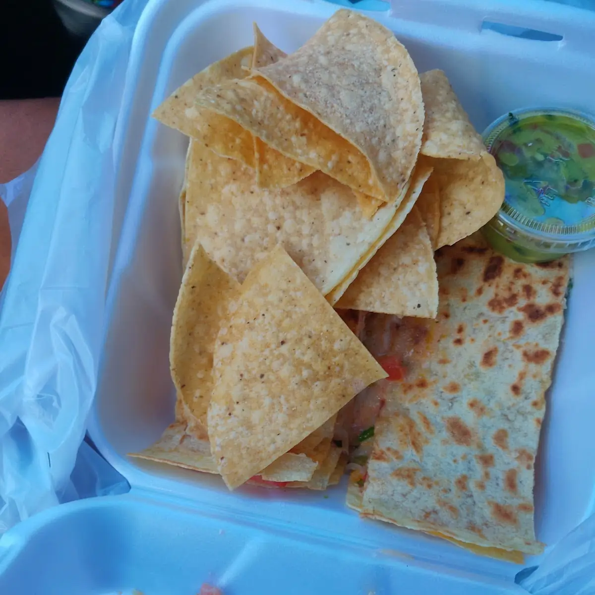 Cheese Quesadilla