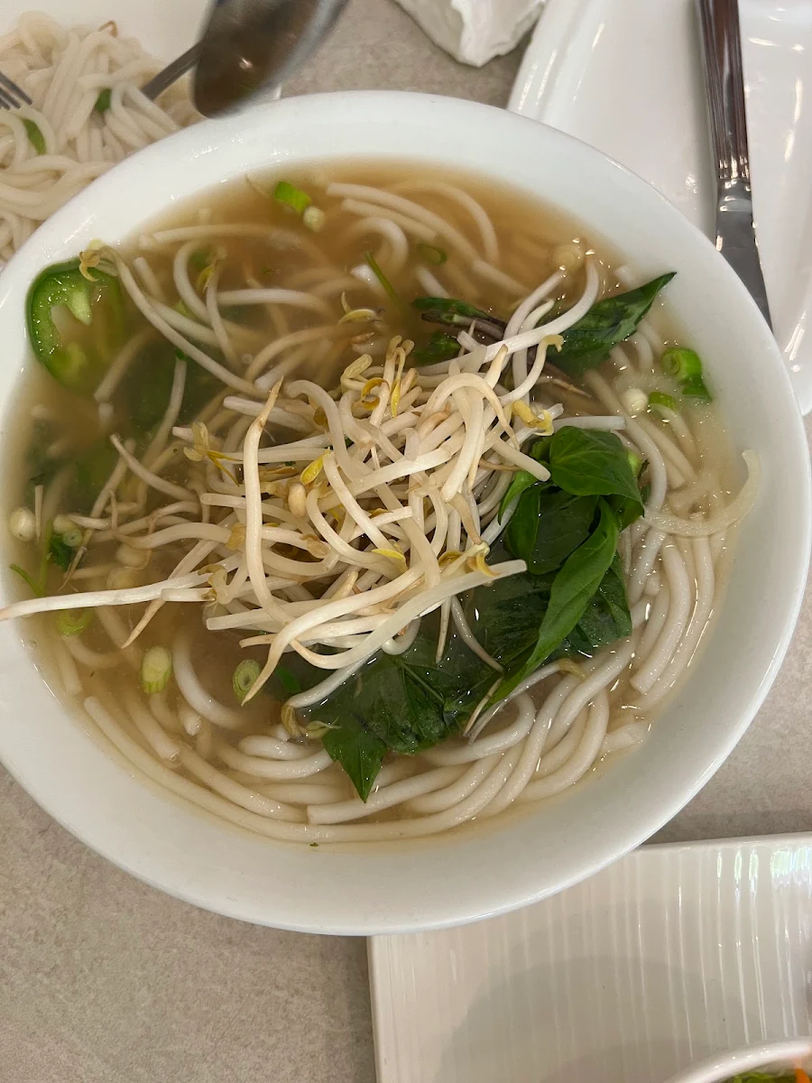 Plain Rice Noodle in Soup