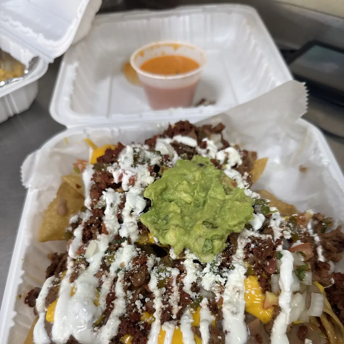 Carne Asada Fries