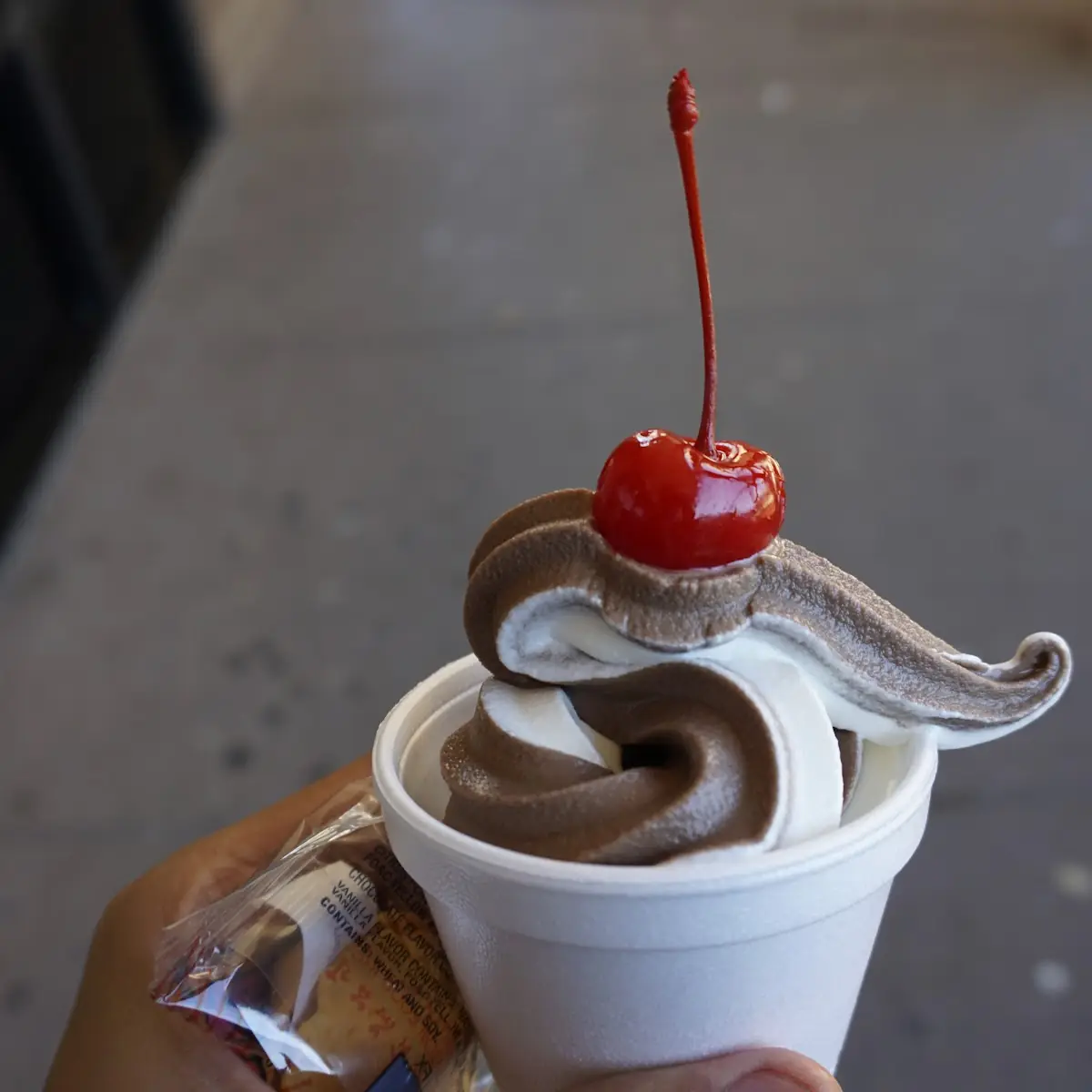 Chocolate and Vanilla Ice Cream