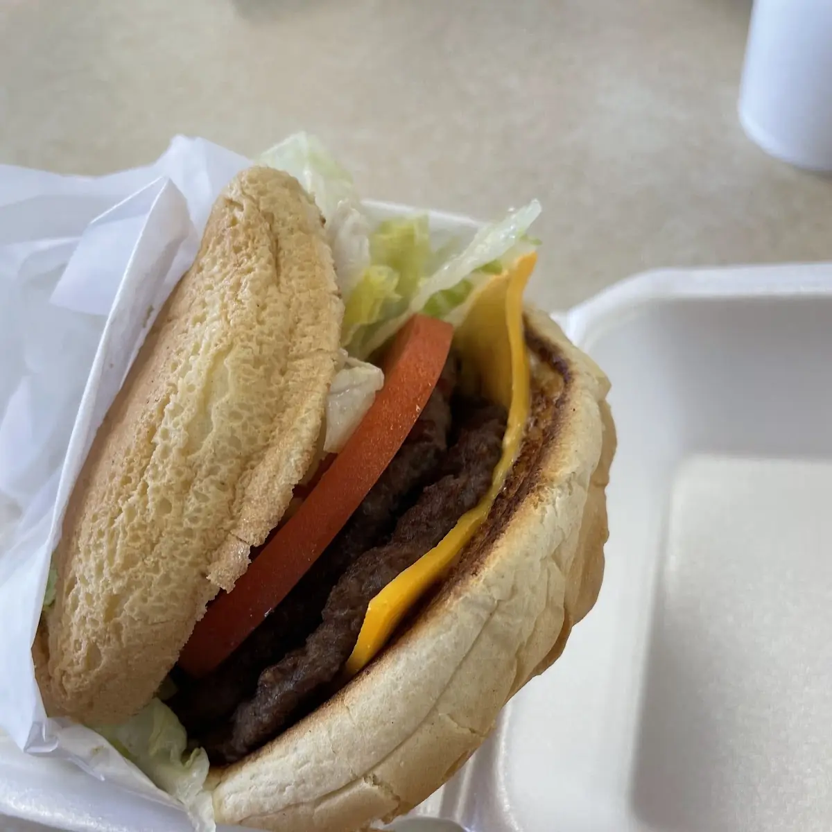 Double Cheeseburger Combo