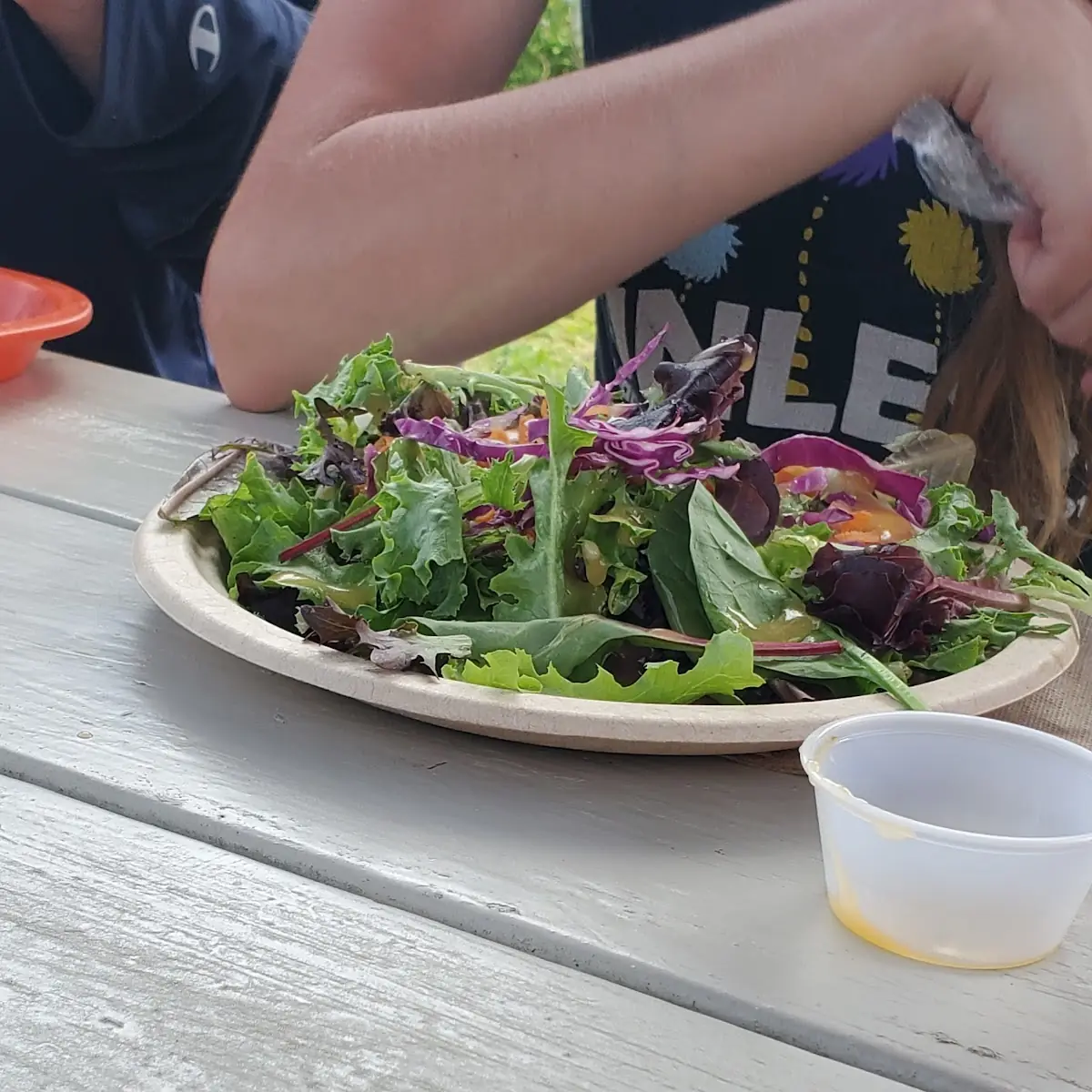 Mixed Salad