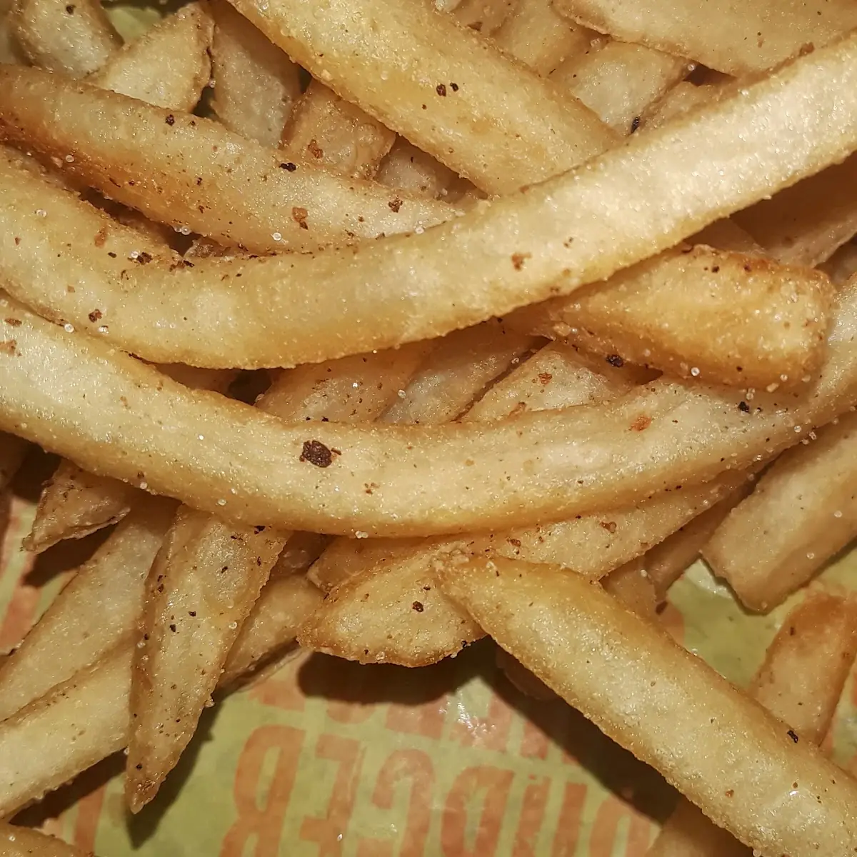 World Famous Fries
