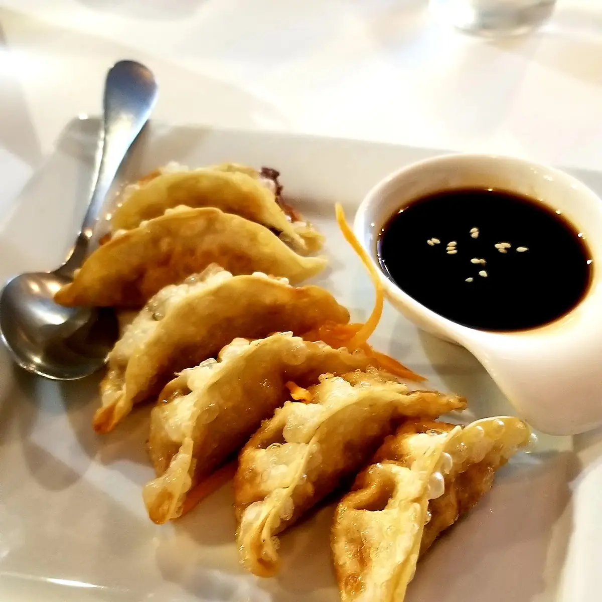 Pot Stickers