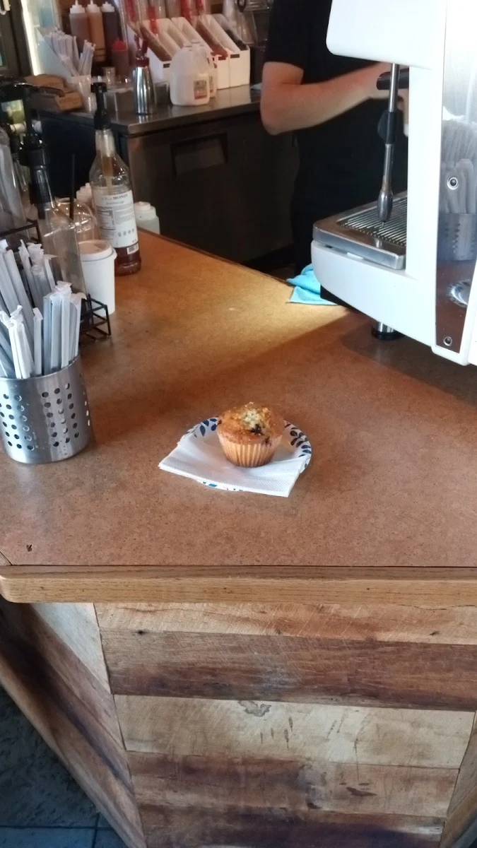 Blueberry Muffin