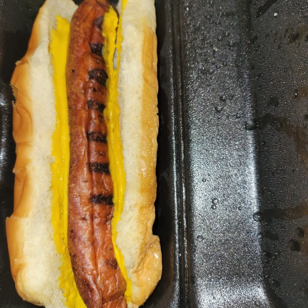 Hot Dog or Cheese Dog