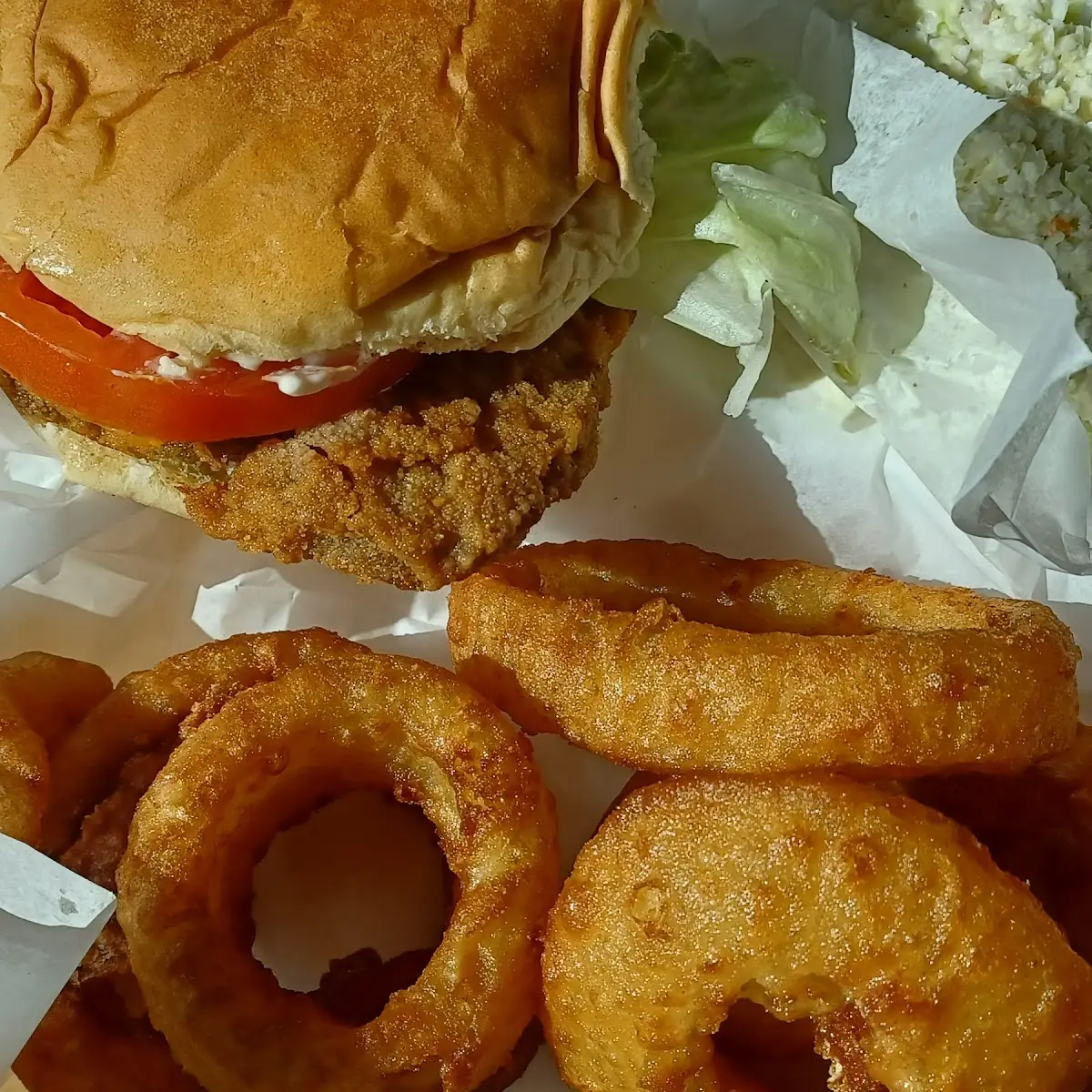 Onion Rings and Cole Slaw