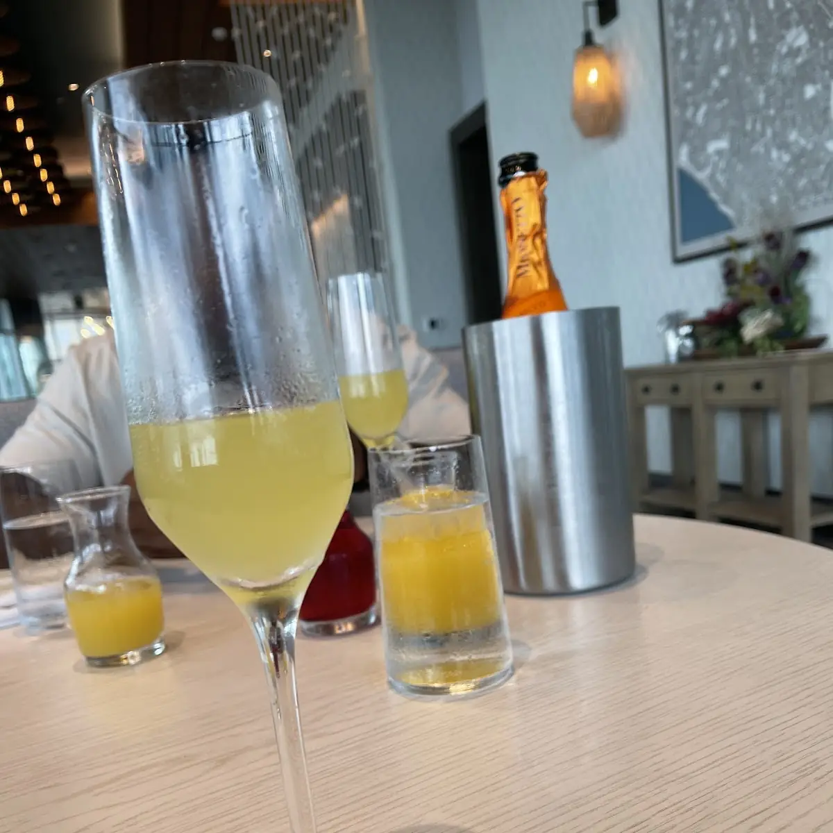 Mimosa Flight
