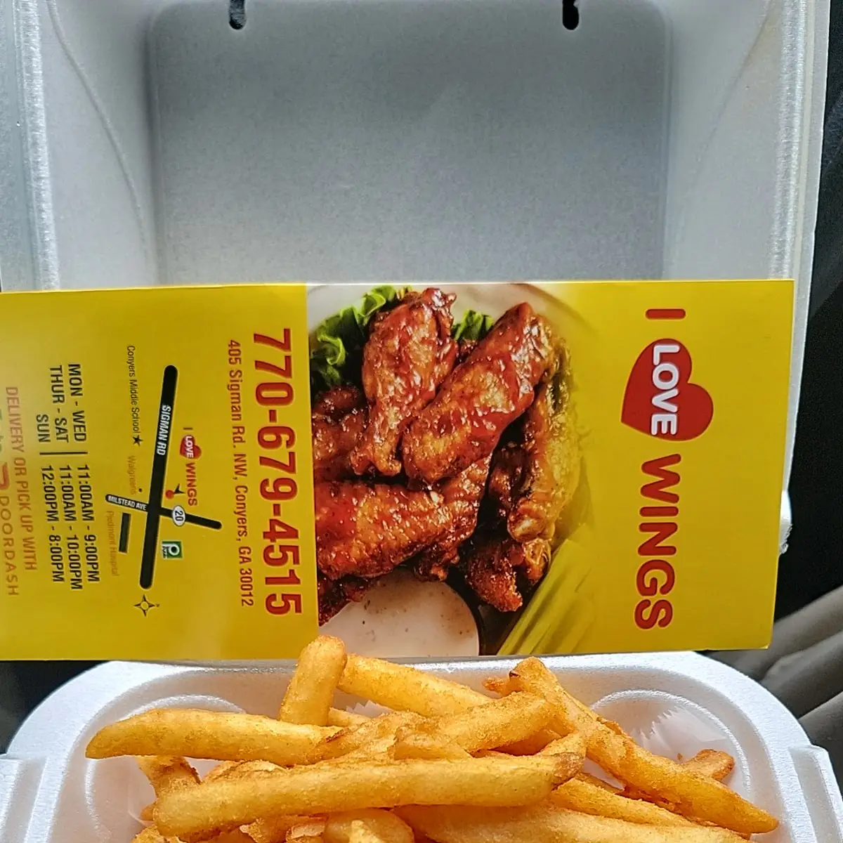 Garlic Parmesan Wings with Fries