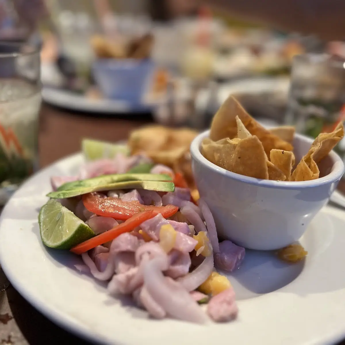 Ceviche Mojito