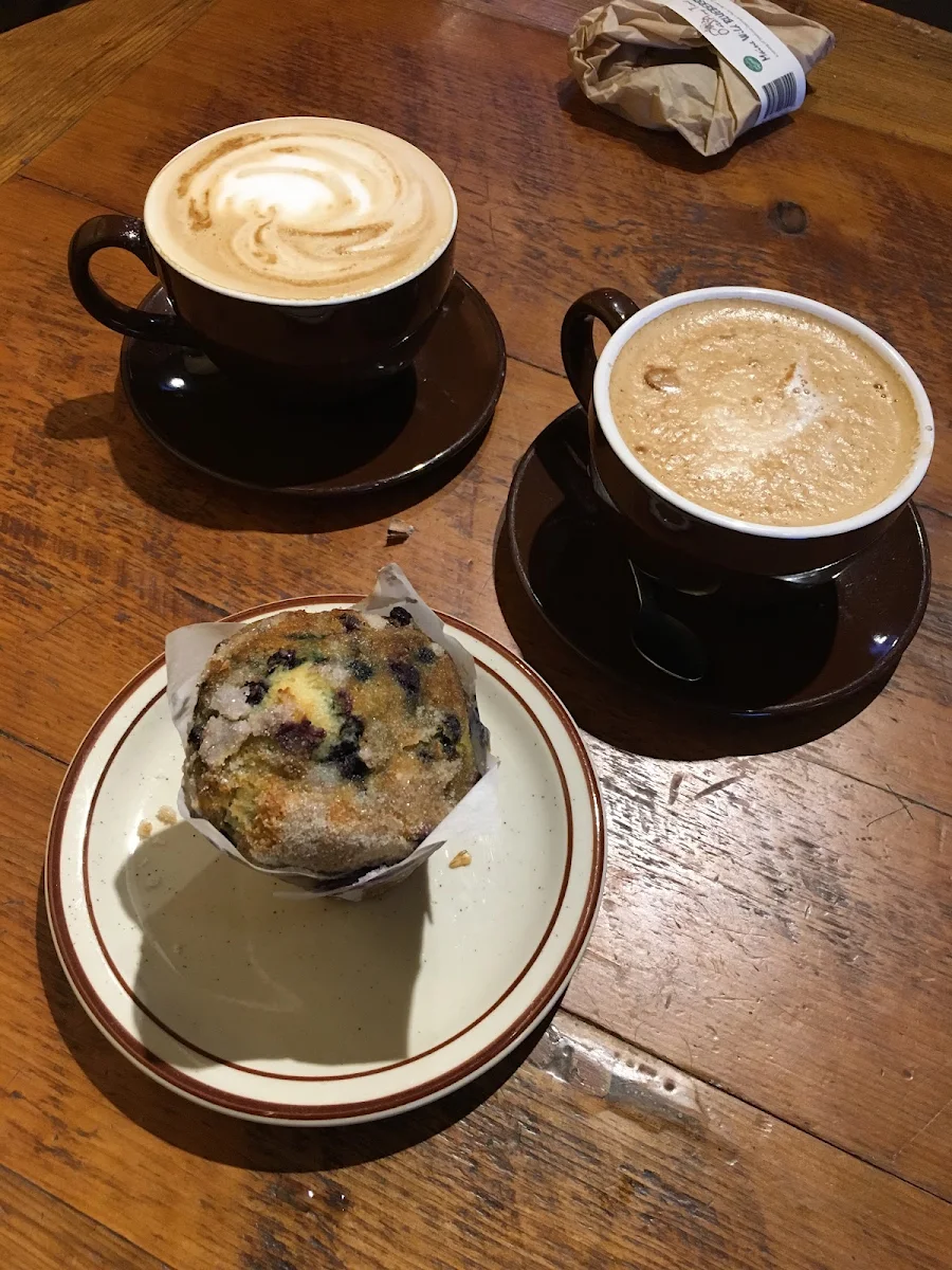 Blueberry Muffin