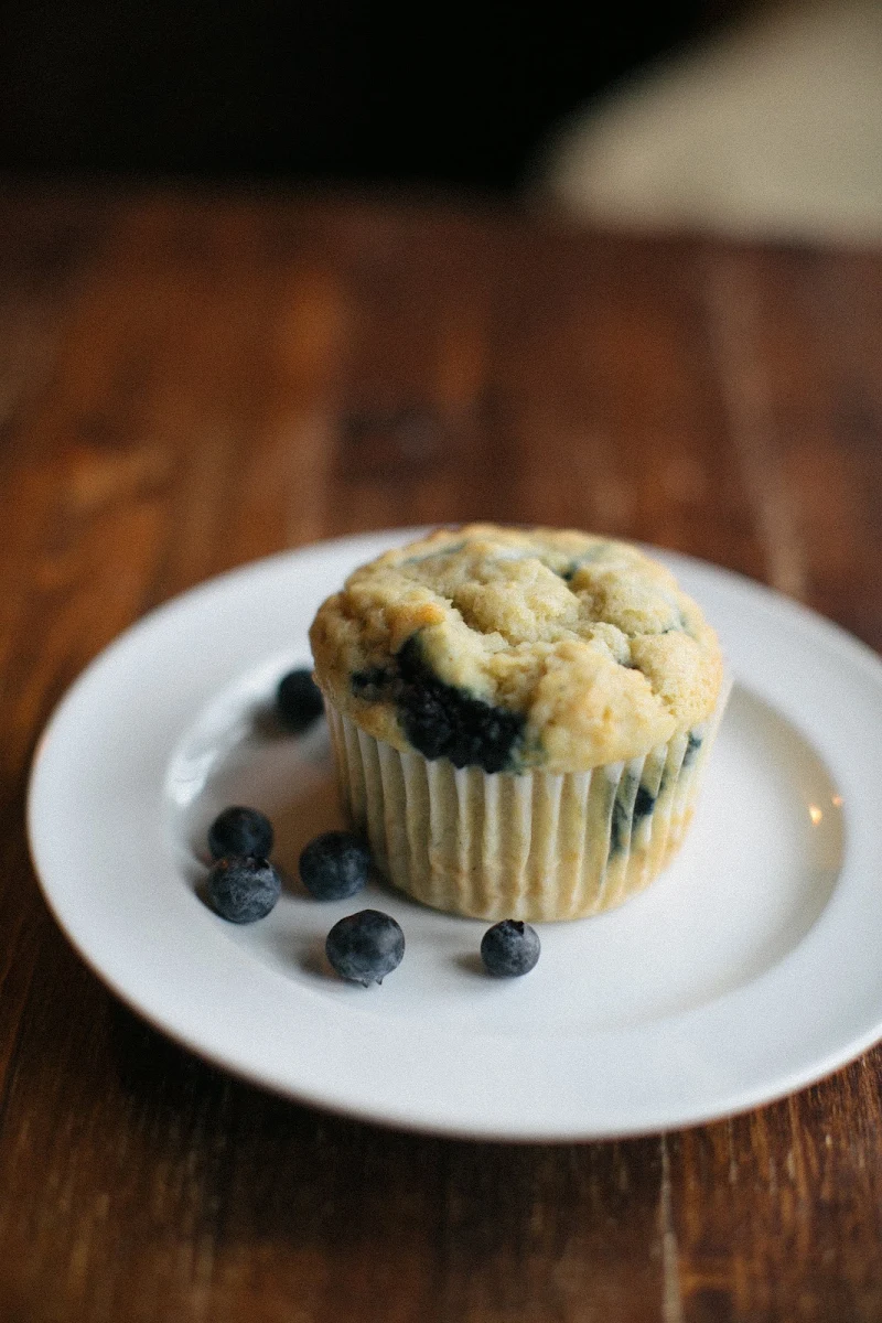 Blueberry Muffin
