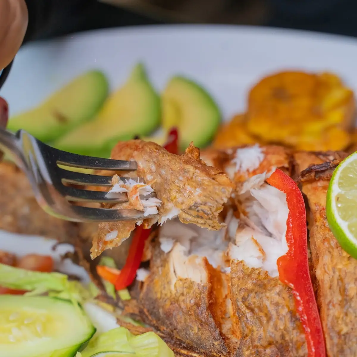 Pescado Boca Chica Fried Red Snapper
