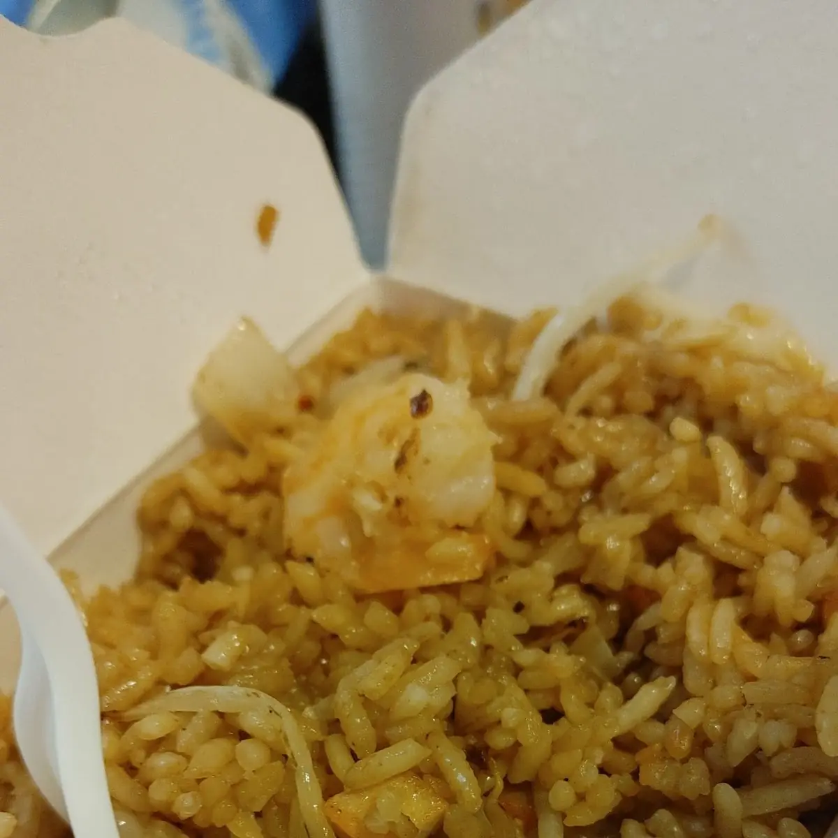 B2 Chicken  Chow Mein(Fried Noodles)
