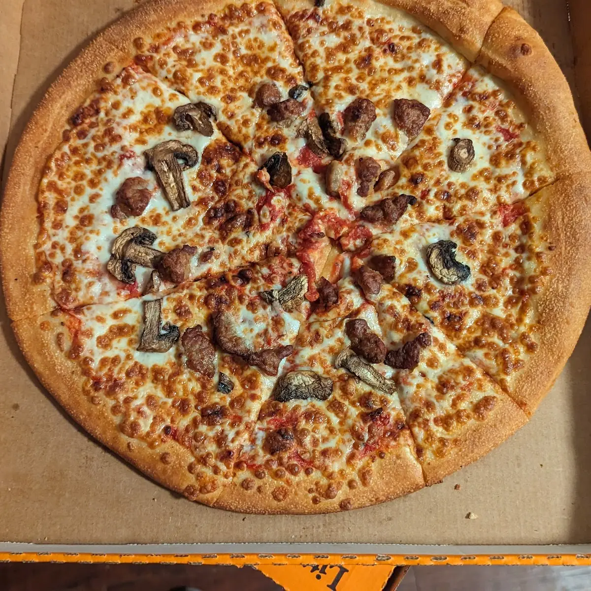 Sorry Excuse for a Pizza