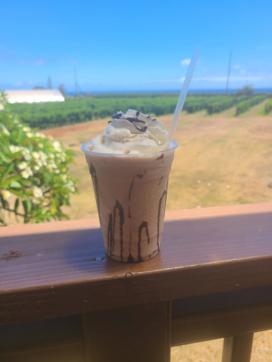 Iced Mocha