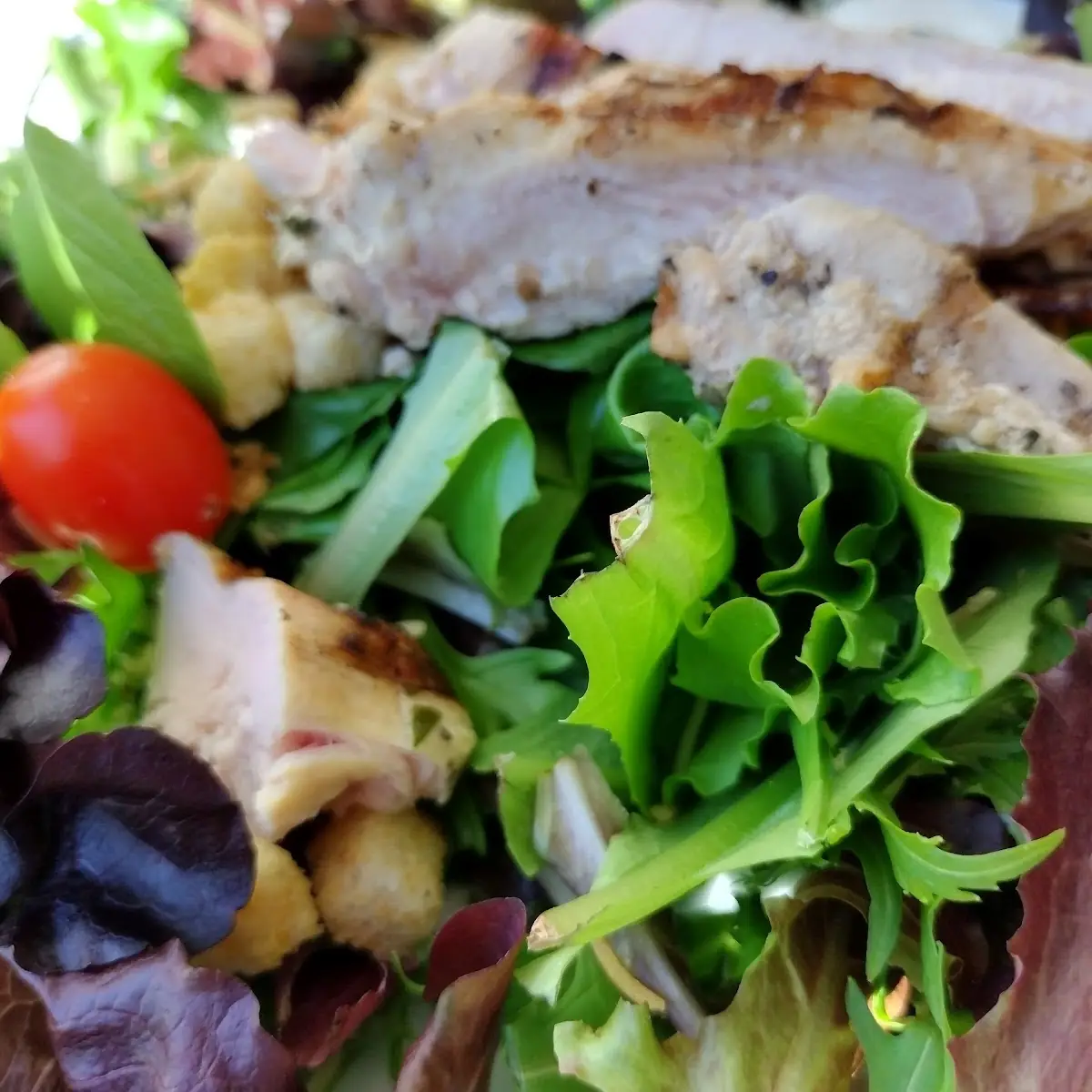 House Salad with Chicken