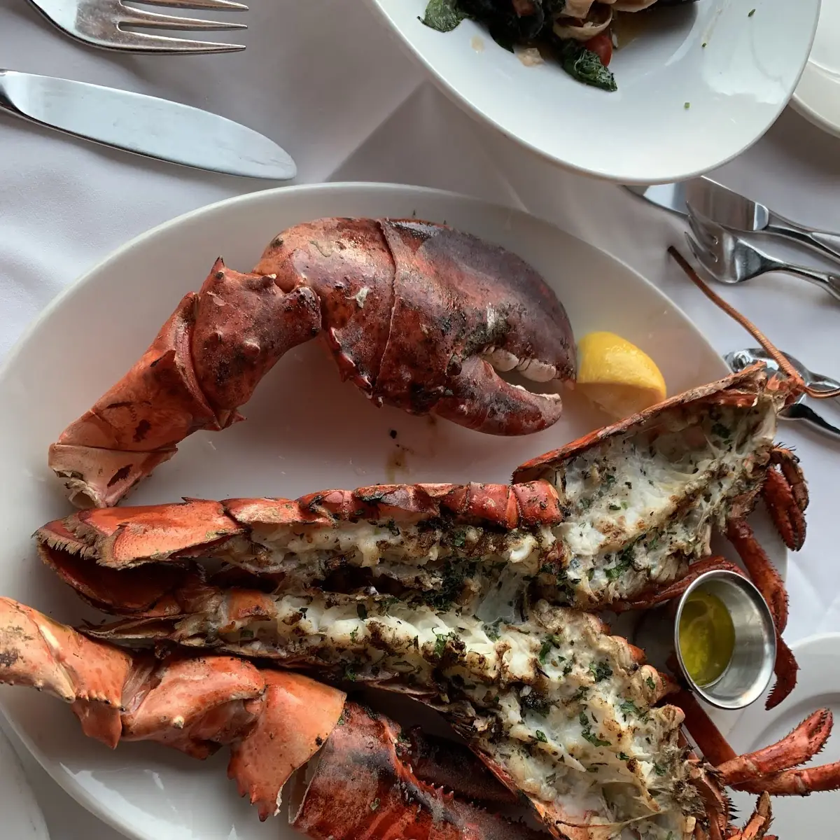 Grilled Maine Lobster