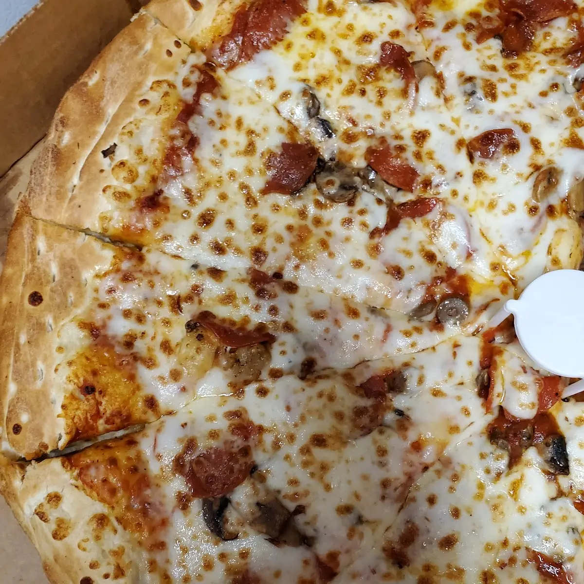Cheese Pizza