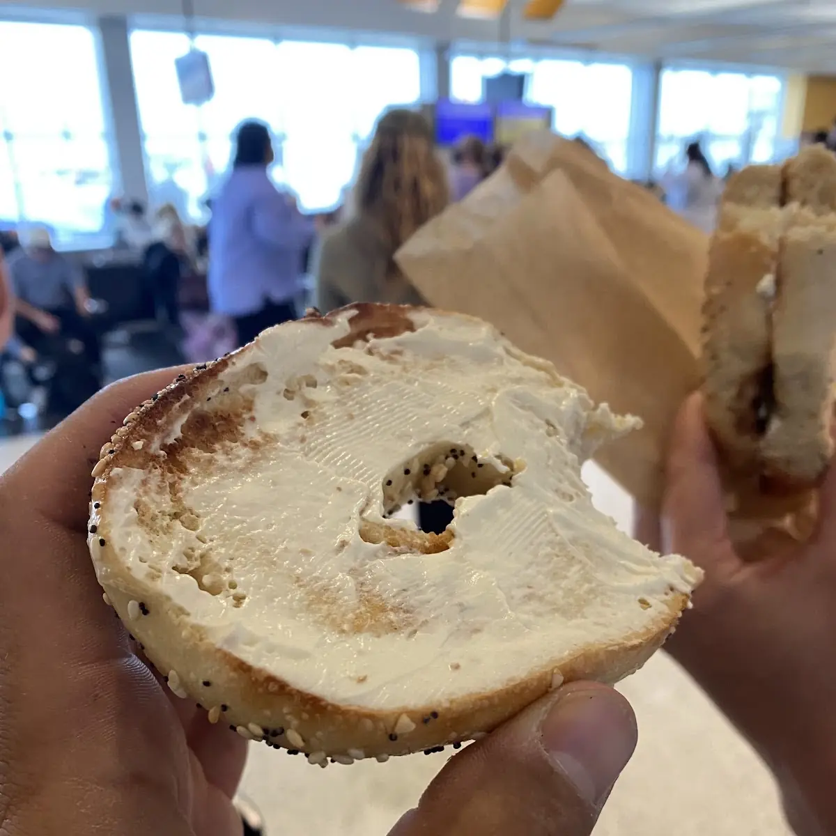 Everything Bagel with Cream Cheese