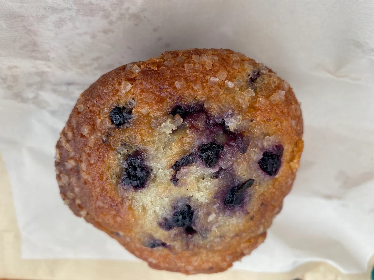 Blueberry Muffin
