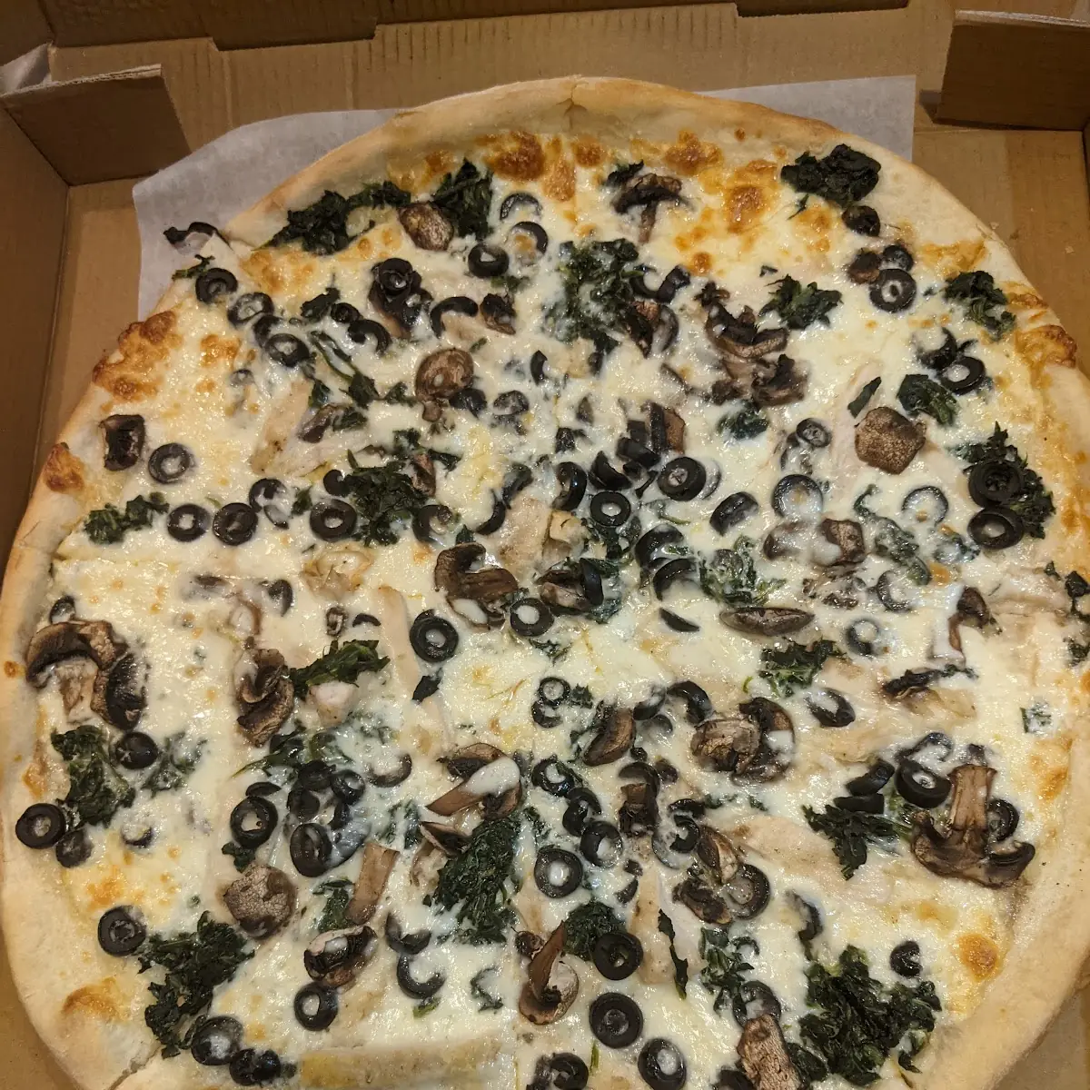 Alfredo Pizza