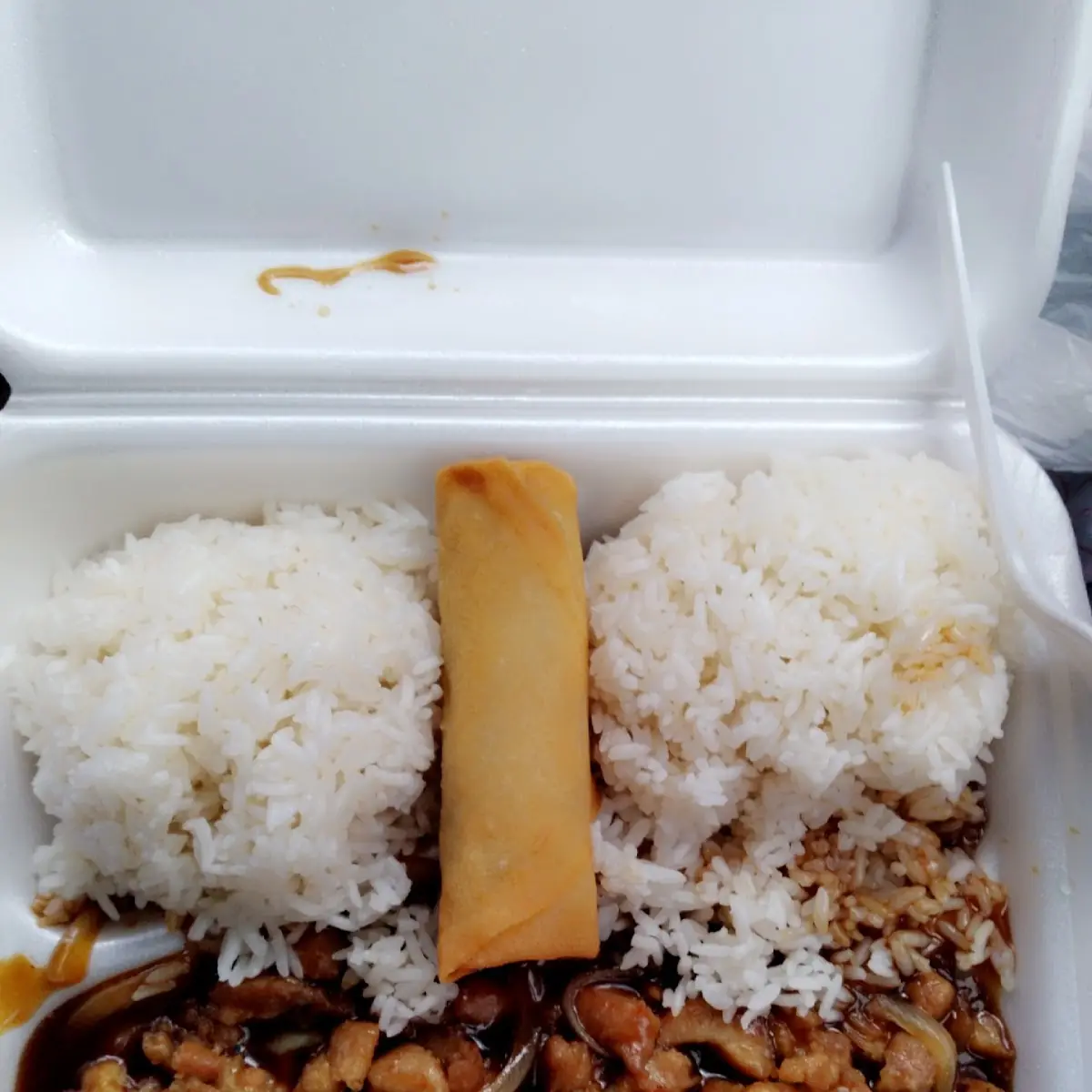 Teriyaki Chicken and White Rice