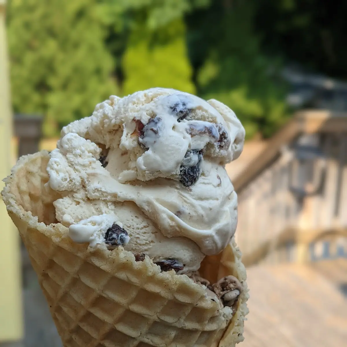 Rum Raisin