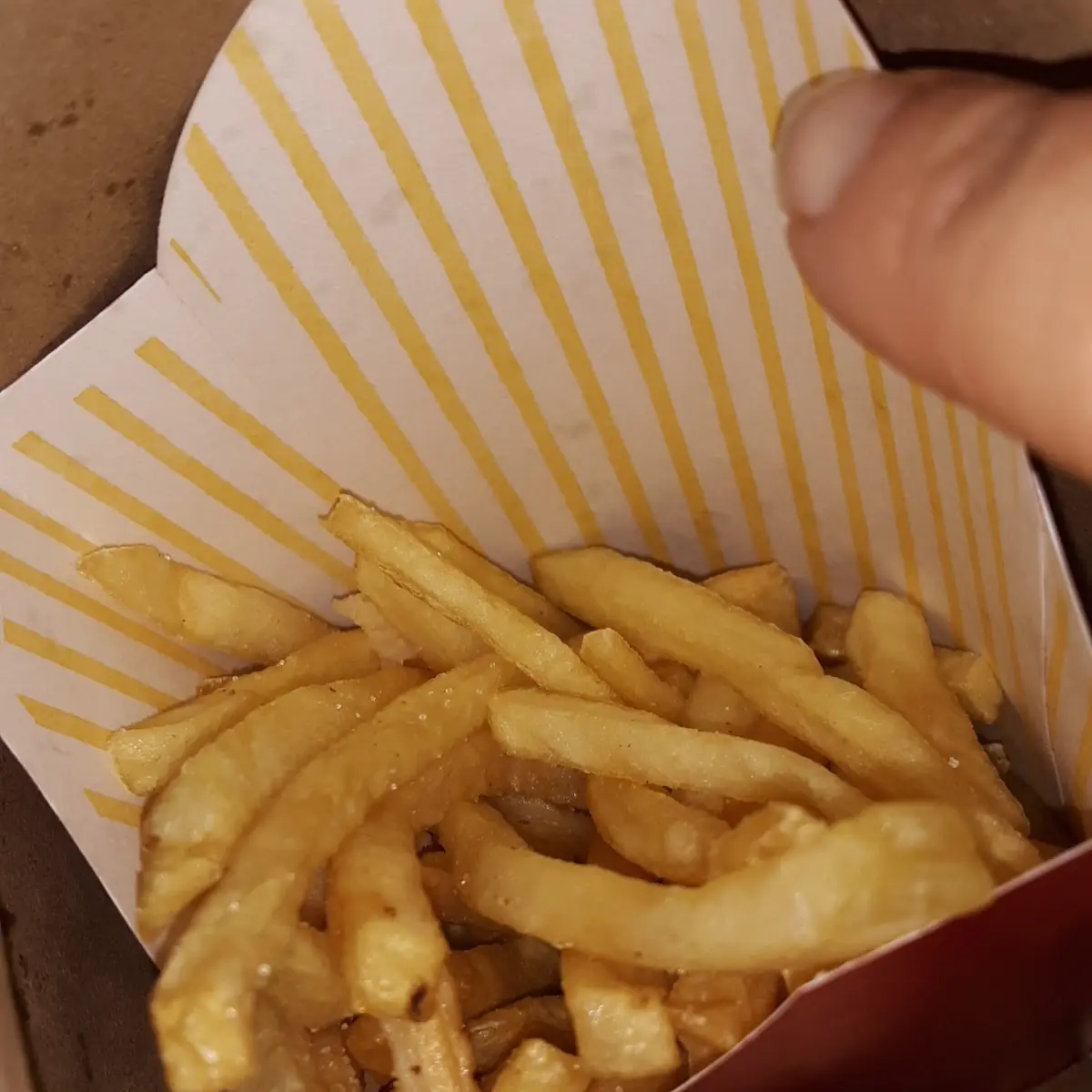 World Famous Fries