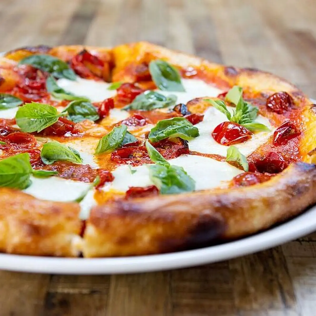 Margarita Pizza