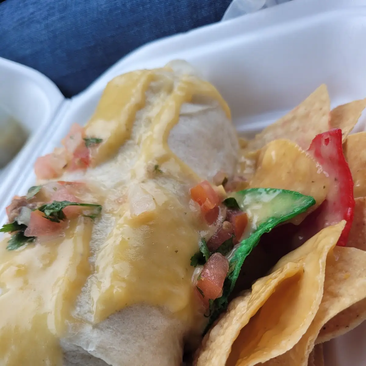 Mini Burrito Relleno