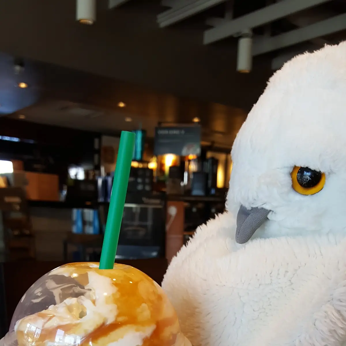 Caramel Frappuccino Blended Beverage